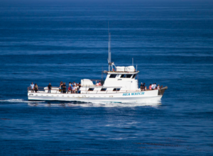 Fermo amministrativo per l'aereo di ricognizione in mare della ong  Sea-Watch 